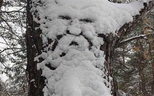 pareidolia faces 16 Man, I See Faces Everywhere! #2 (38 photos)