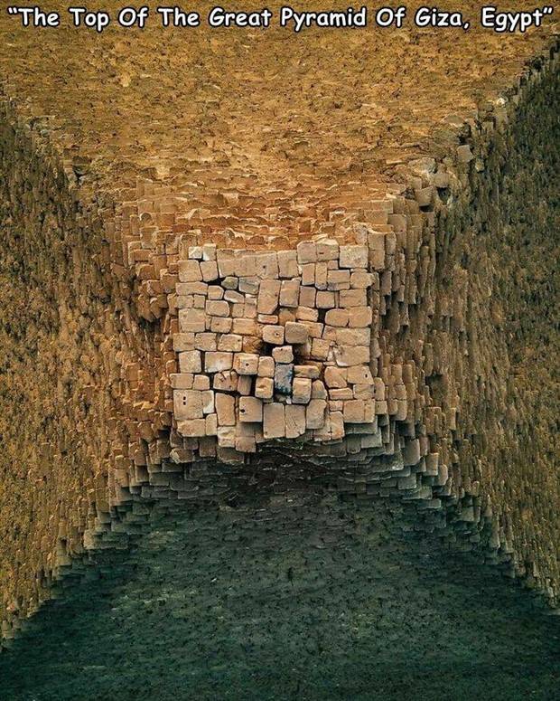 Random Pictures With Captions #38 (45 photos)