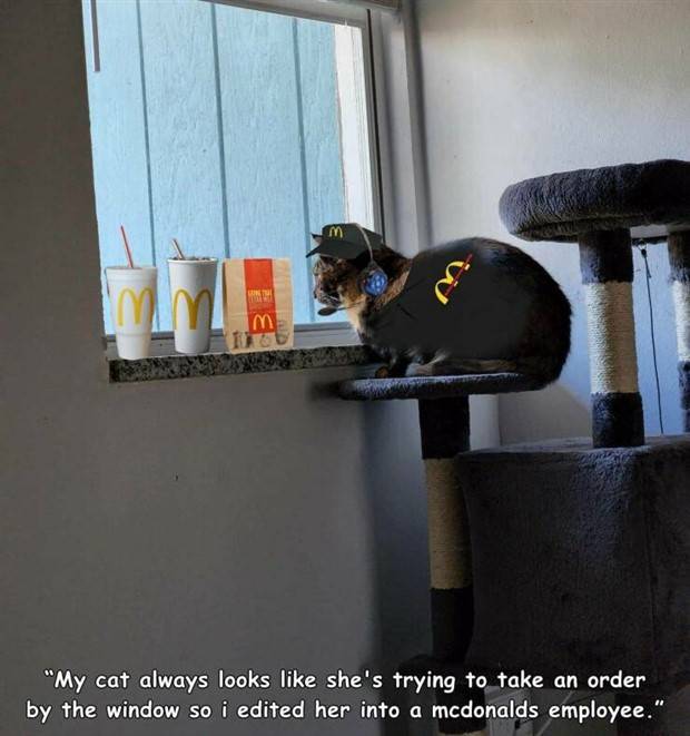 Random Pictures With Captions #38 (45 photos)