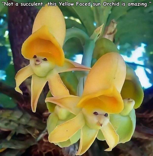 Random Pictures With Captions #38 (45 photos)