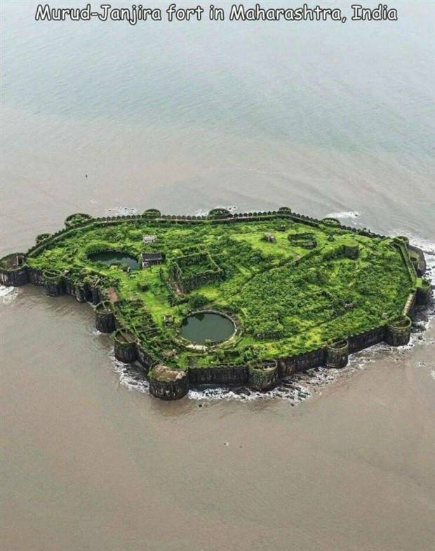 Random Pictures With Captions #38 (45 photos)