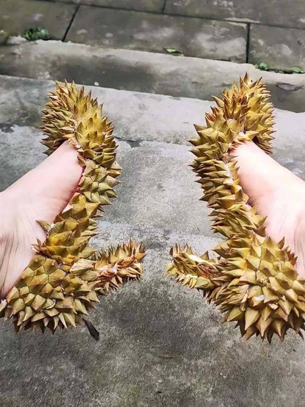 weird internet 39 1 Strange Shoes (53 photos)