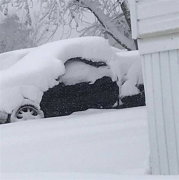 Shit Happens Regularly #215 (41 photos)