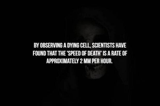 Creepy Facts Are Back #6 (39 photos)