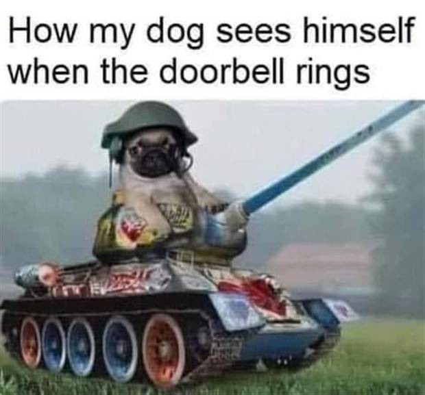 funny memes 23 2 Funny Pics And Memes To Make You Laugh #42 (45 photos)