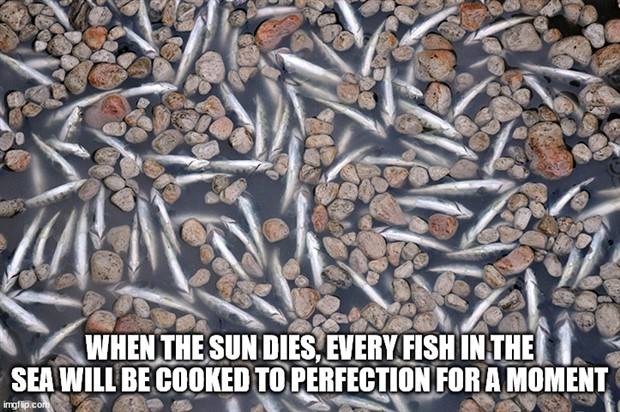 Funny Shower Thoughts #42 (37 photos)