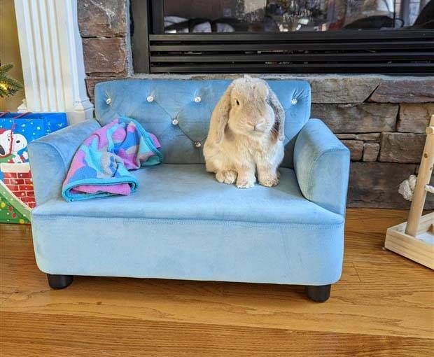 Klyker Picdump #1151 (55 photos)