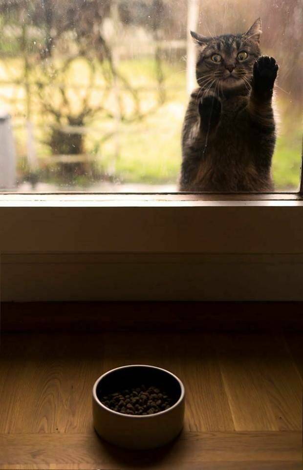 Klyker Picdump #1154 (53 photos)