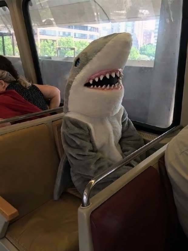 Klyker Picdump #1154 (53 photos)