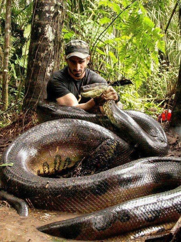 Klyker Picdump #1154 (53 photos)