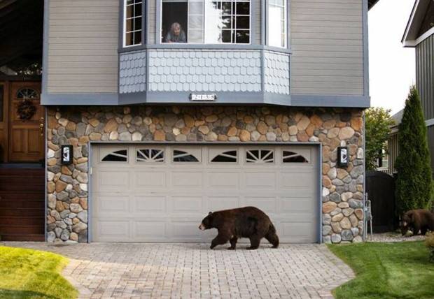 Klyker Picdump #1154 (53 photos)