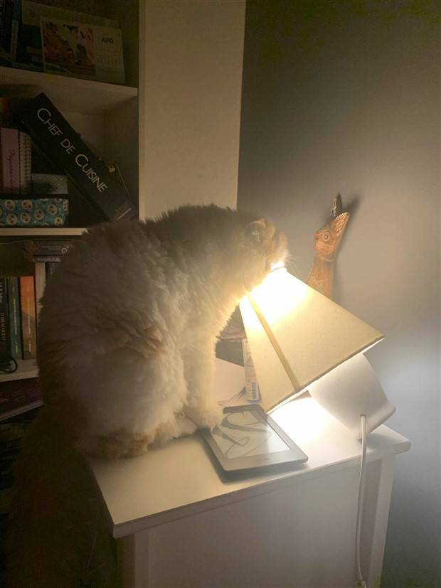 Klyker Picdump #1154 (53 photos)