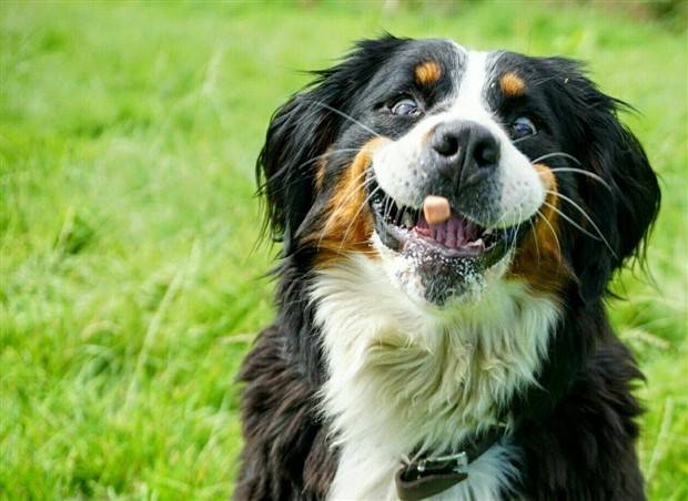 Klyker Picdump #1154 (53 photos)