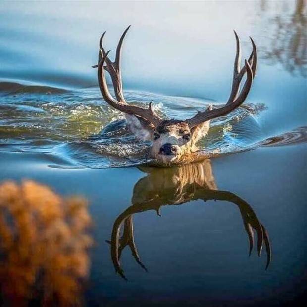 Klyker Picdump #1154 (53 photos)