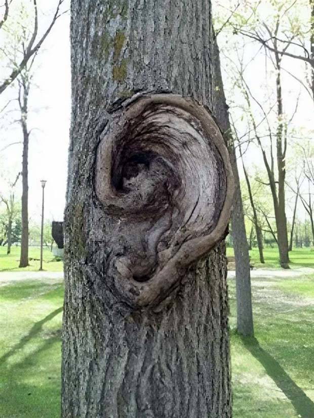 Klyker Picdump #1154 (53 photos)