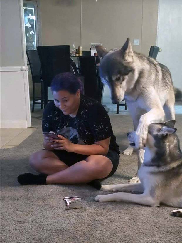 Klyker Picdump #1154 (53 photos)