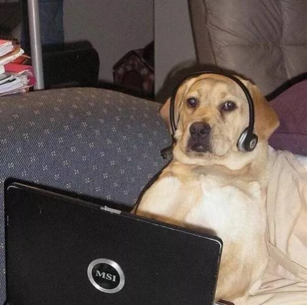 Klyker Picdump #1154 (53 photos)