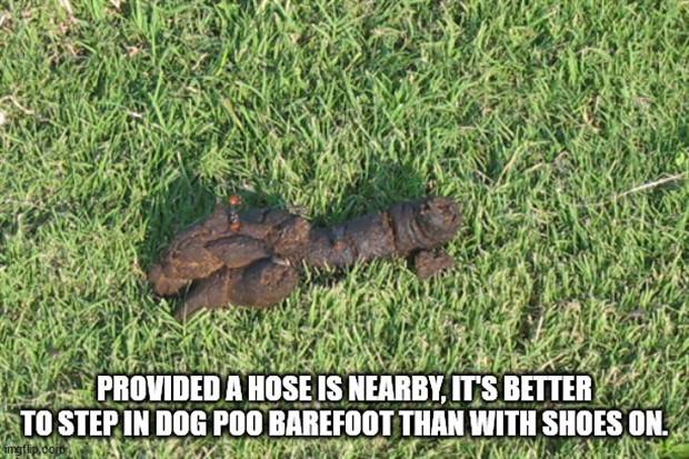 Funny Shower Thoughts #39 (45 photos)