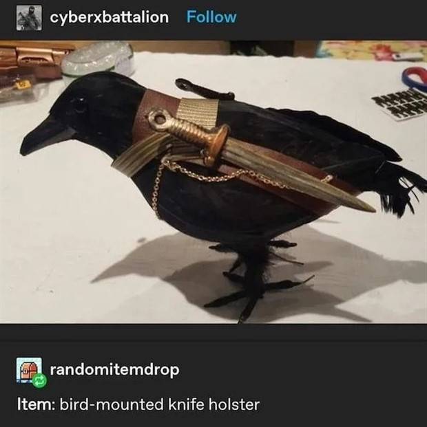 Damn, I Want This! #17 (38 photos)