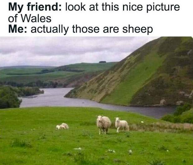 Funny Pics And Memes To Make You Laugh #48 (39 photos)