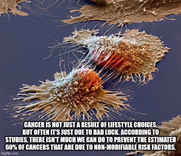 interesting trivia facts 18 It’s Time For Some Cool And Interesting Facts #321 (35 photos)
