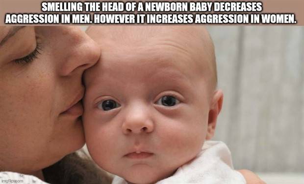 interesting trivia facts 3 It’s Time For Some Cool And Interesting Facts #321 (35 photos)