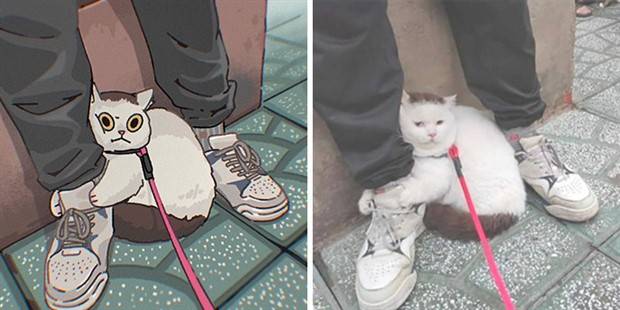 Korean Artist JoJo Turns Popular Cat Memes Into Funny Illustrations (31 photos)