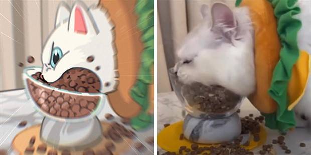 Korean Artist JoJo Turns Popular Cat Memes Into Funny Illustrations (31 photos)
