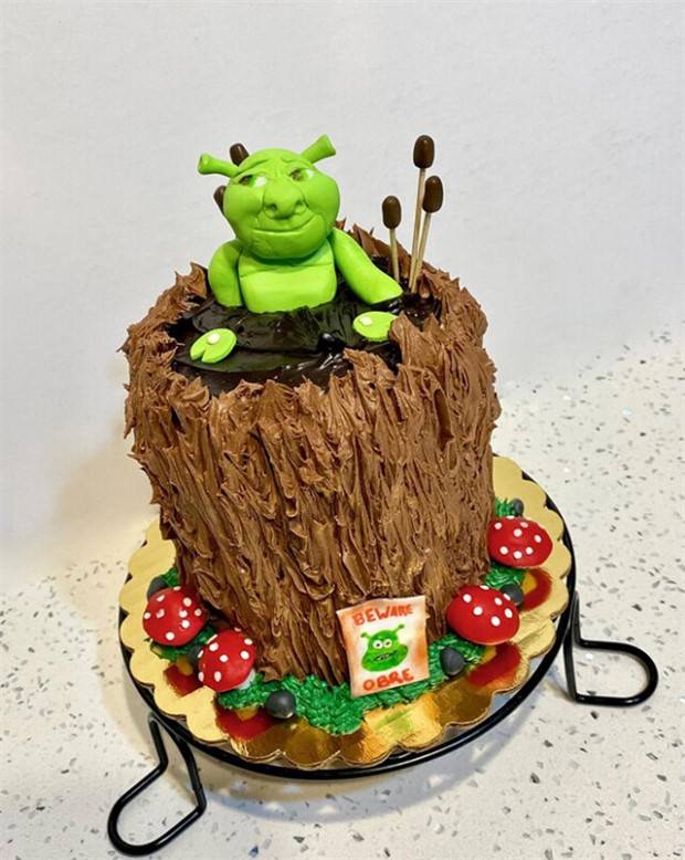 Shrek Cakes Gone Wrong (20 photos)