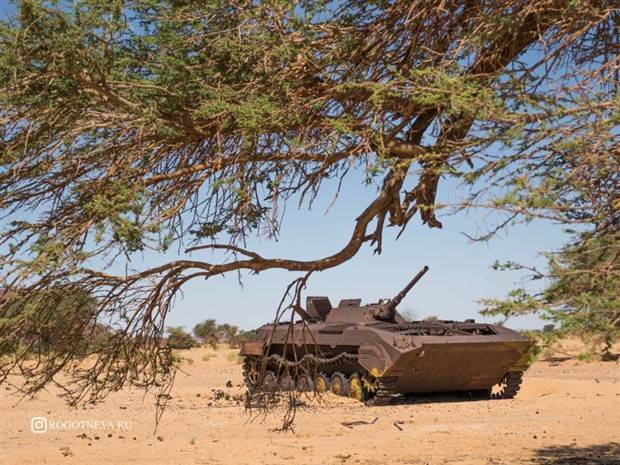 Abandoned Tanks in the Sahara (20 photos)