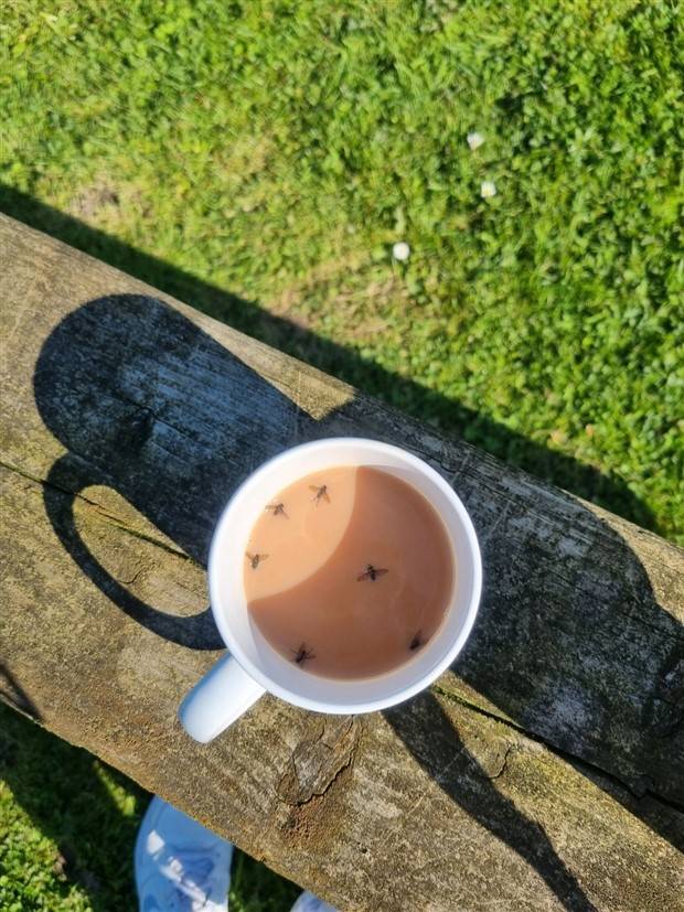 Shit Happens Regularly, Get Used To It #226 (42 photos)