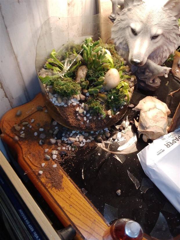 Shit Happens Regularly, Get Used To It #226 (42 photos)