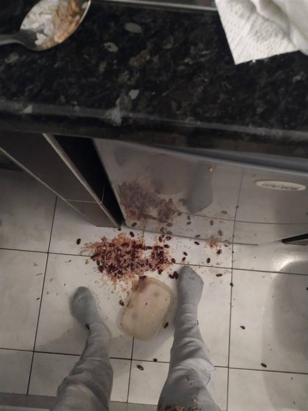 Shit Happens Regularly, Get Used To It #226 (42 photos)