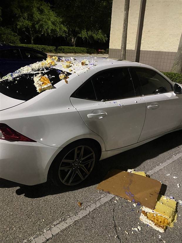 Shit Happens Regularly, Get Used To It #226 (42 photos)