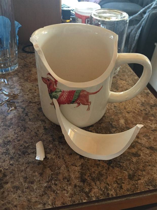 Shit Happens Regularly, Get Used To It #226 (42 photos)