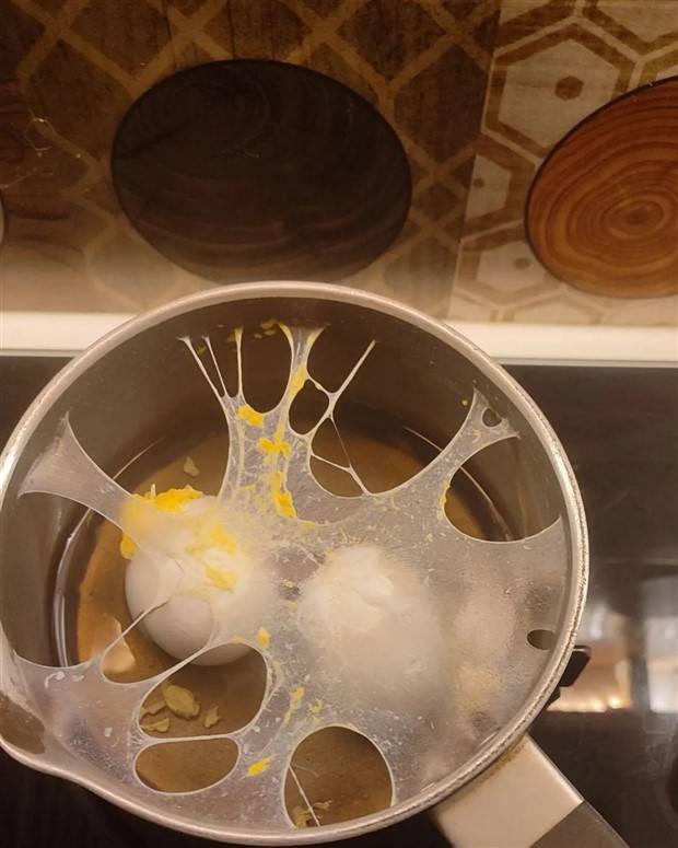 Shit Happens Regularly, Get Used To It #226 (42 photos)