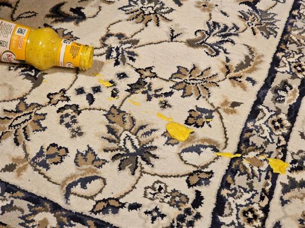 Shit Happens Regularly, Get Used To It #226 (42 photos)