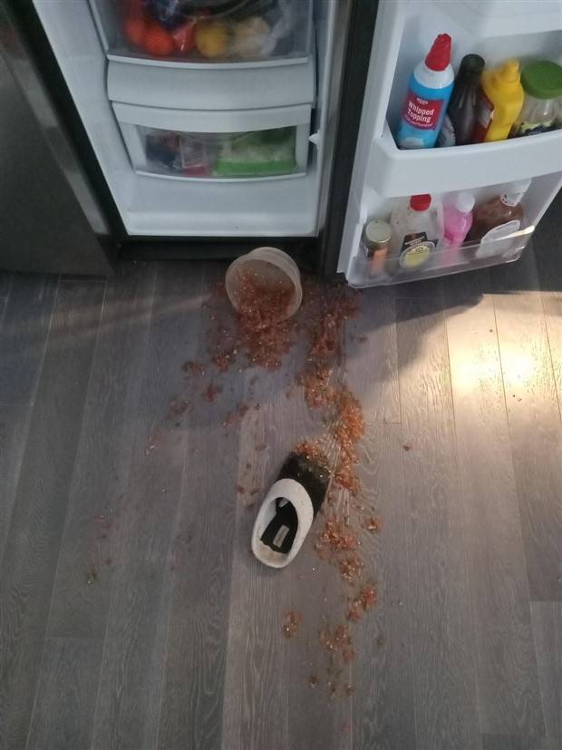 Shit Happens Regularly, Get Used To It #226 (42 photos)