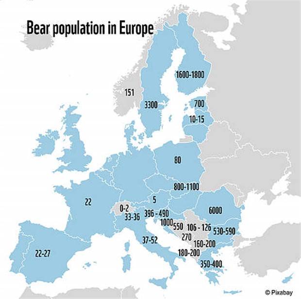 Random Charts And Maps Filled With Interesting Data #50 (22 photos)