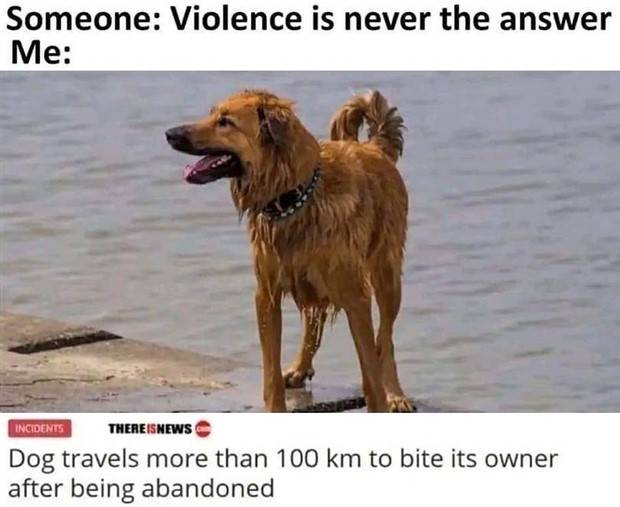 funny memes pictures 45 Funny Pics And Memes To Make You Laugh #50 (47 photos)