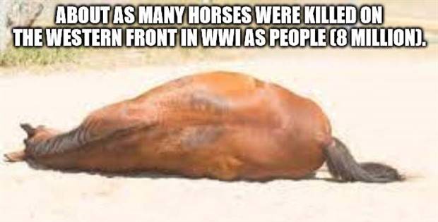 It’s Time For Some Cool And Interesting Facts #325 (34 photos)