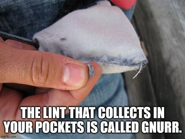 interesting trivia 16 It’s Time For Some Cool And Interesting Facts #323 (40 photos)