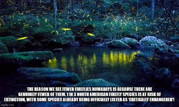 It’s Time For Some Cool And Interesting Facts #327 (43 photos)