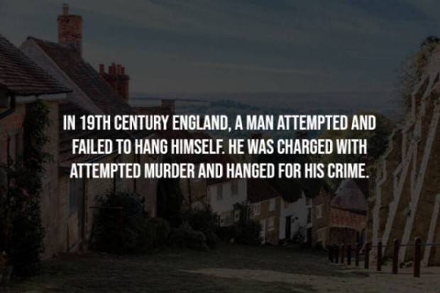 Creepy Facts Are Back #8 (41 photos)