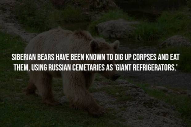 Creepy Facts Are Back #8 (41 photos)