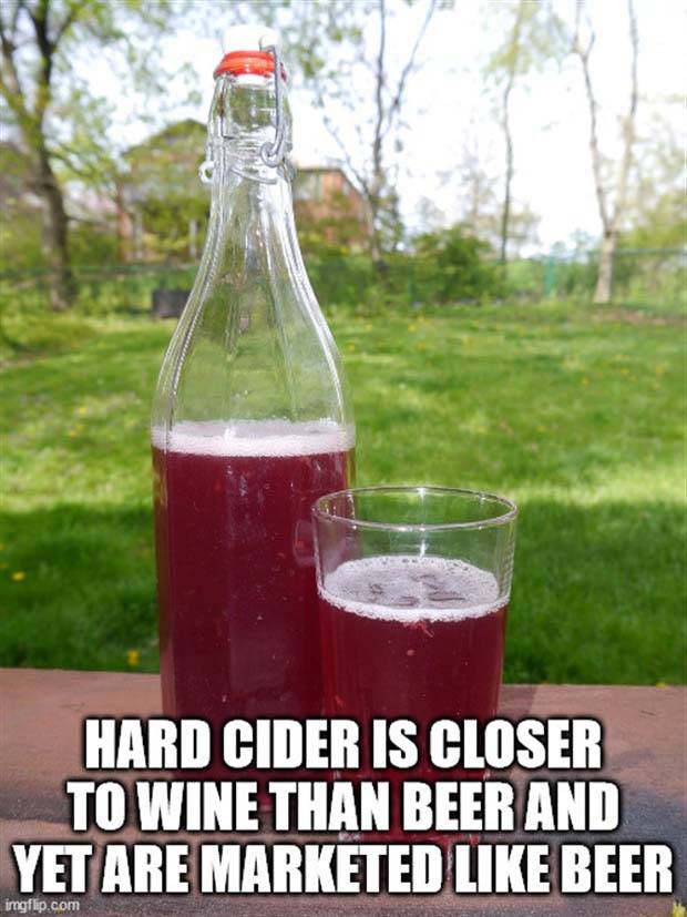 shower thoughts 45 Funny Shower Thoughts #49 (42 photos)