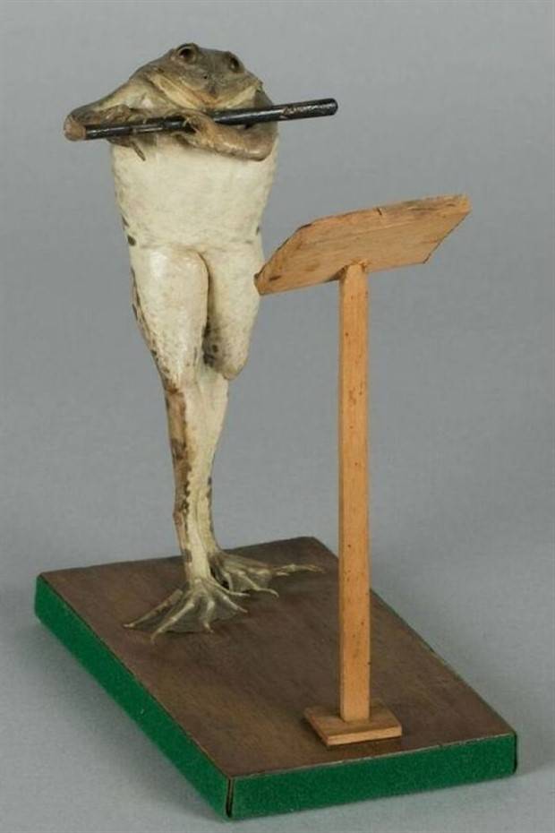 taxidermy fails 14 Discover the World of Terrible Taxidermy #1 (36 photos)