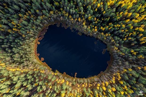 Awesome Pictures You Shouldn’t Miss #53 (38 photos)