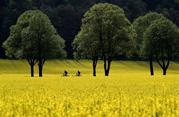 Awesome Pictures You Shouldn’t Miss #53 (38 photos)