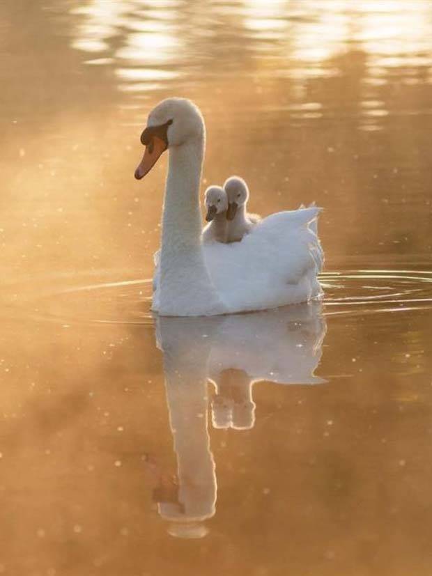 Awesome Pictures You Shouldn’t Miss #53 (38 photos)